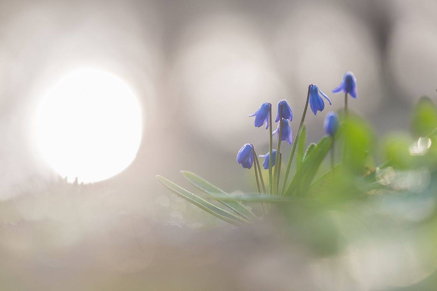 , Илья Михеев