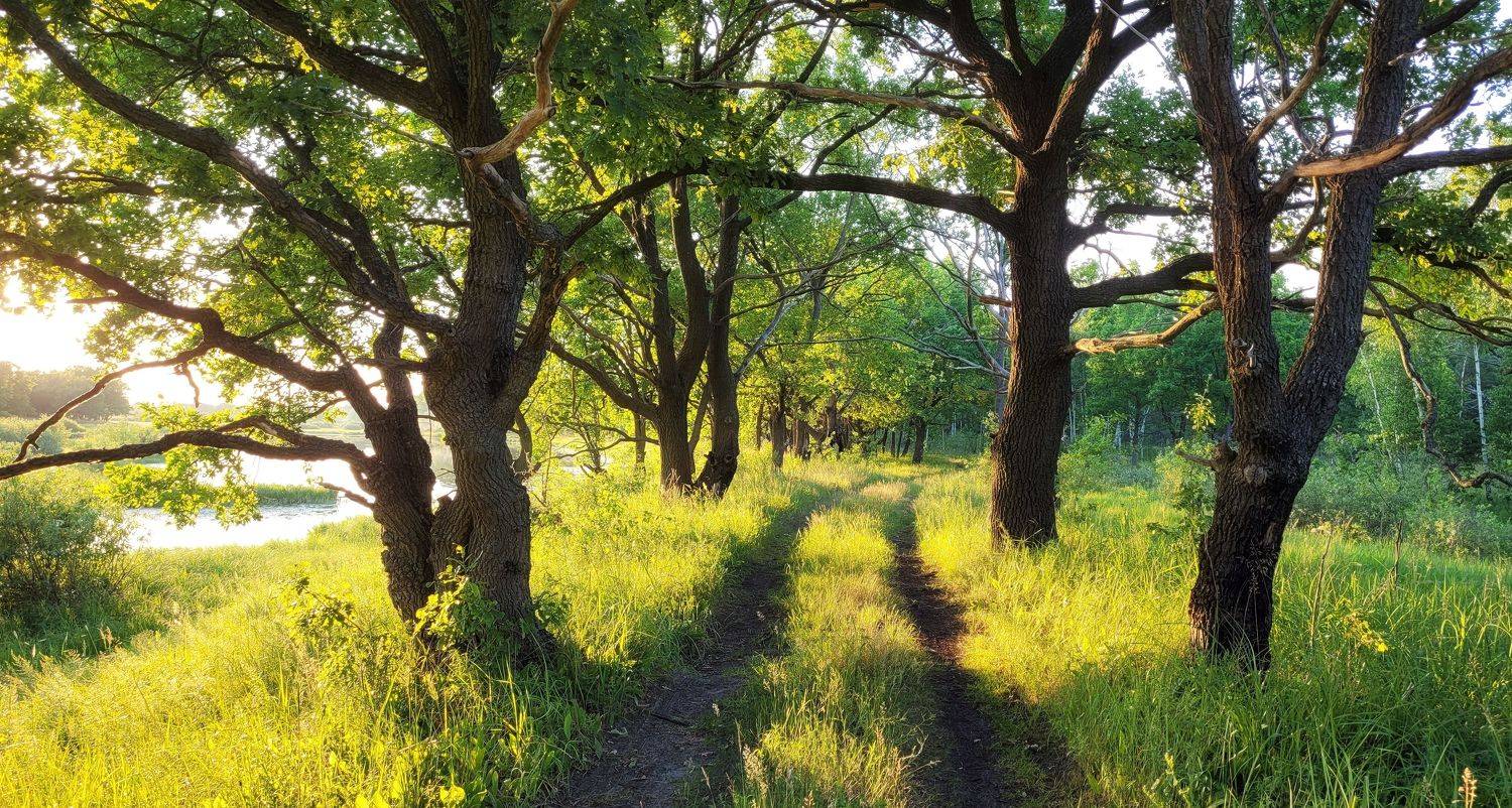 , Сергей Шляга