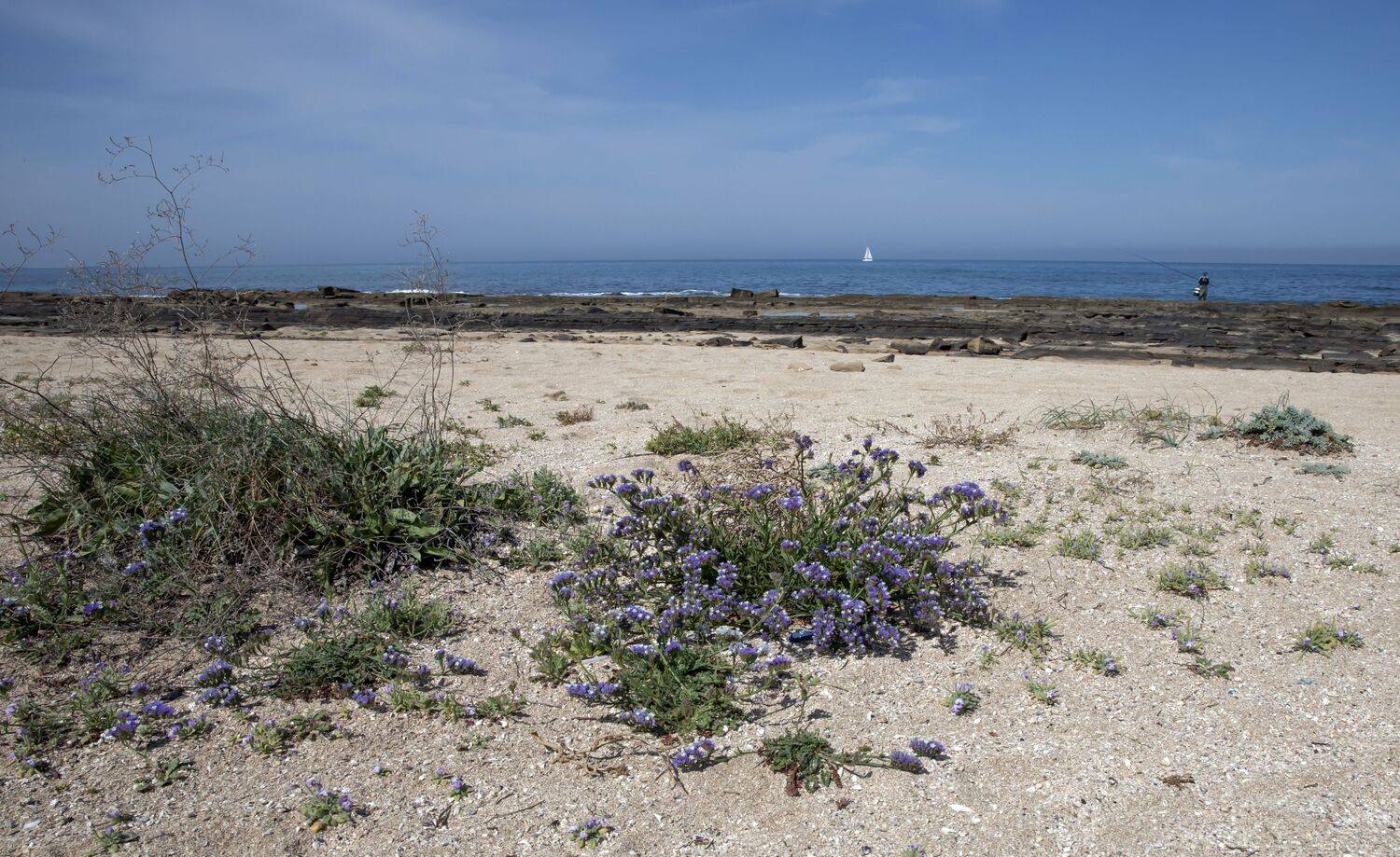 акко,израиль, Валентина Булкина