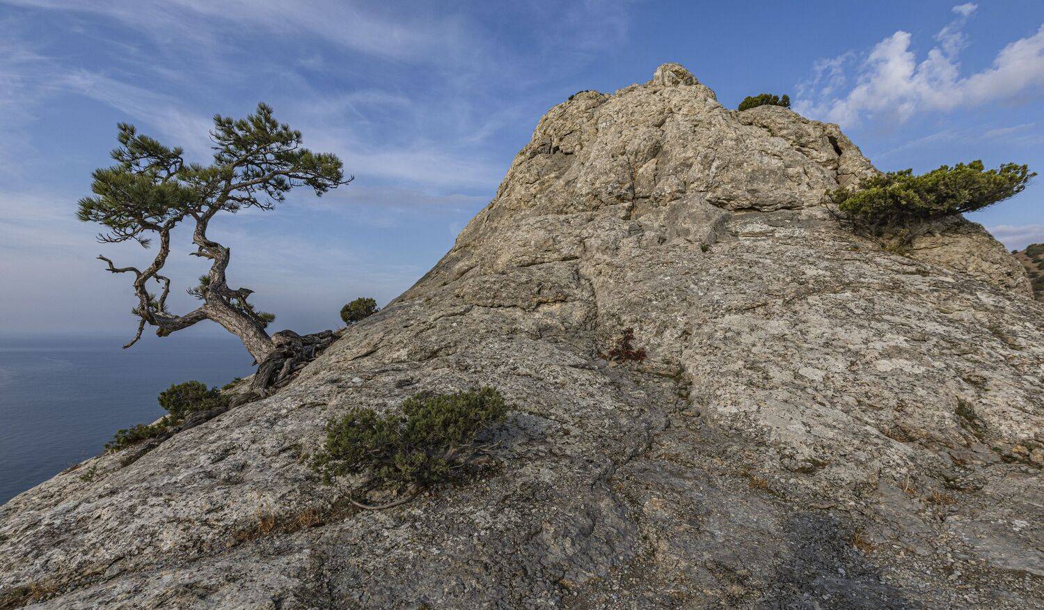 Крым, Новый Свет, Сергей