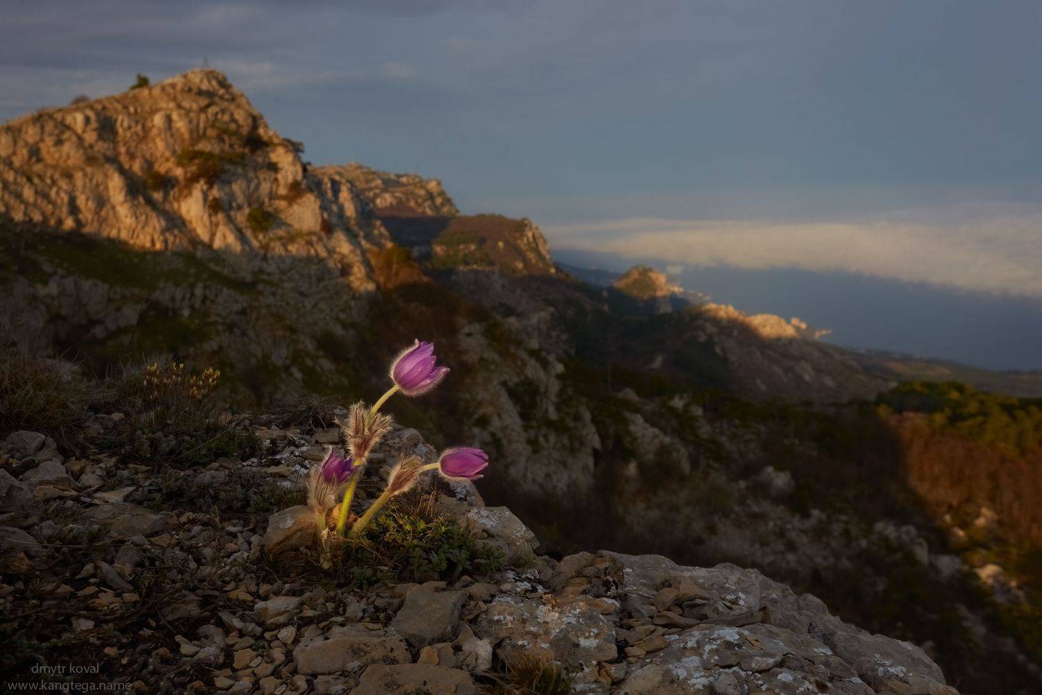 дмитр коваль, гималаи и крым вне треков, пейзаж как магия, Коваль Дмитр