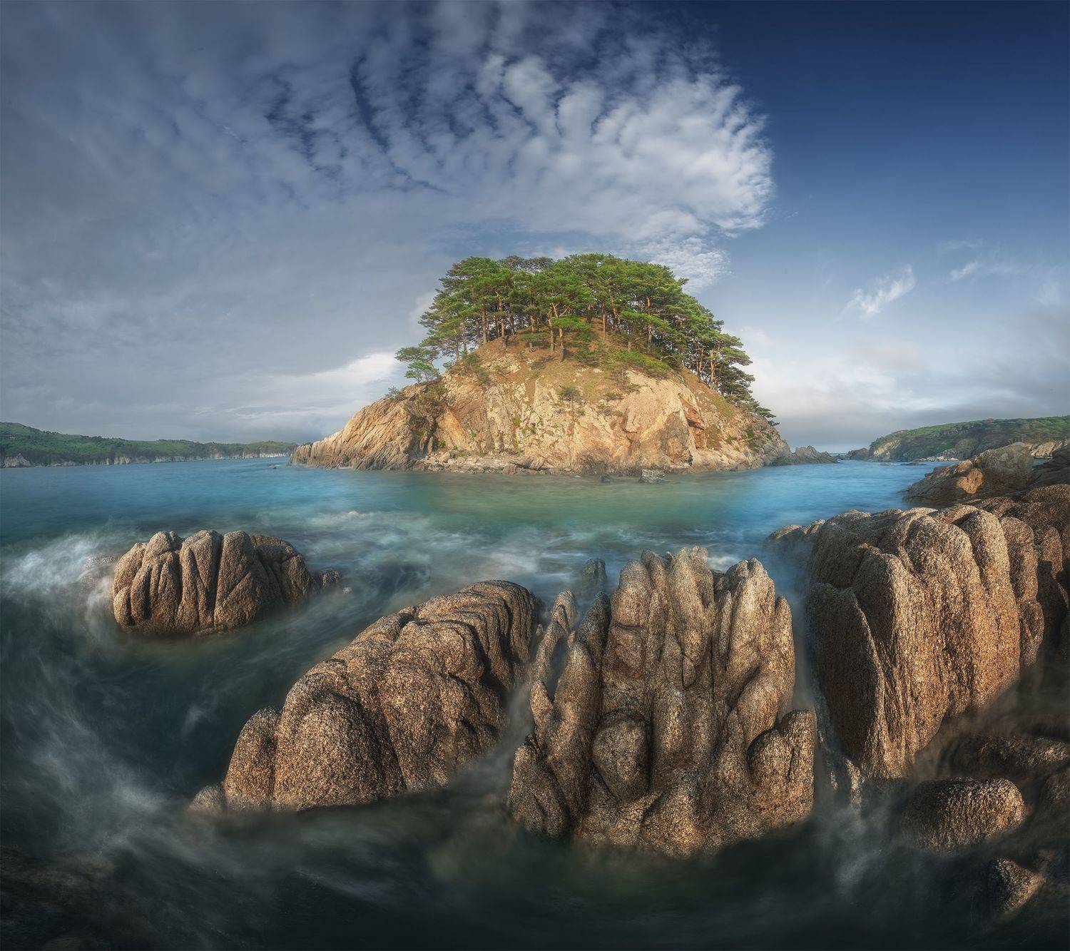 , Политова Анна