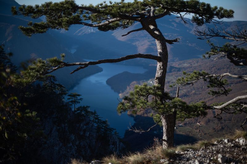 пейзаж, пейзажная фотография, пейзажи, дунай, сербия, река, камни, скалы, берег, путешествие, landscape, landscapes, landscape photography, тара Баньска стена, Национальный парк Тара, Сербия фото превью