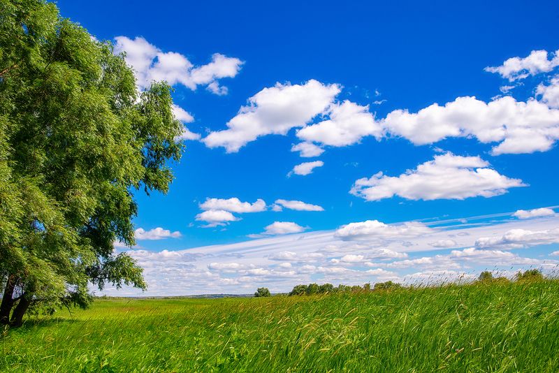 Лето~ фото превью