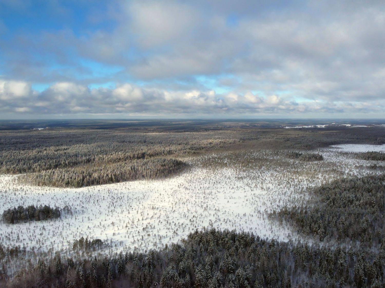 север, лес, полет, аэрофотосъемка, архангельская область, Титов Александр