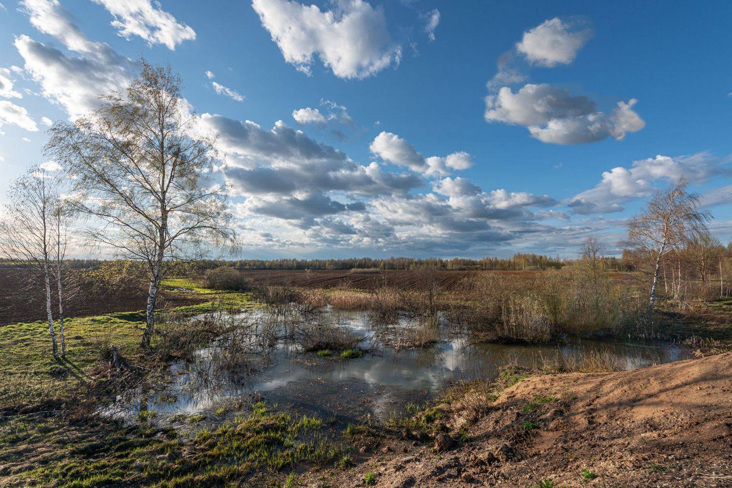 , Борис Леваков