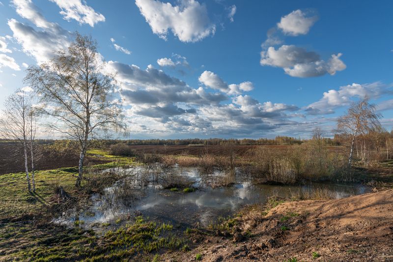 Весна фото превью