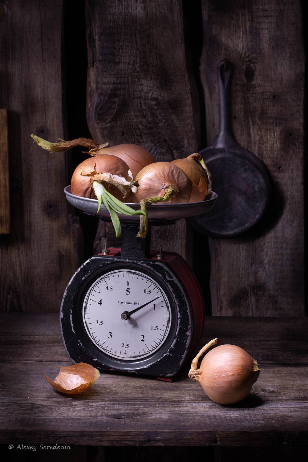 натюрморт, светопись, световая кисть, Алексей Середенин