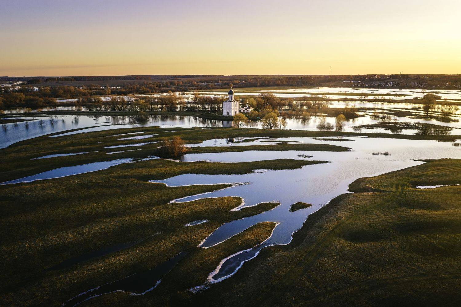 , Разум Митя