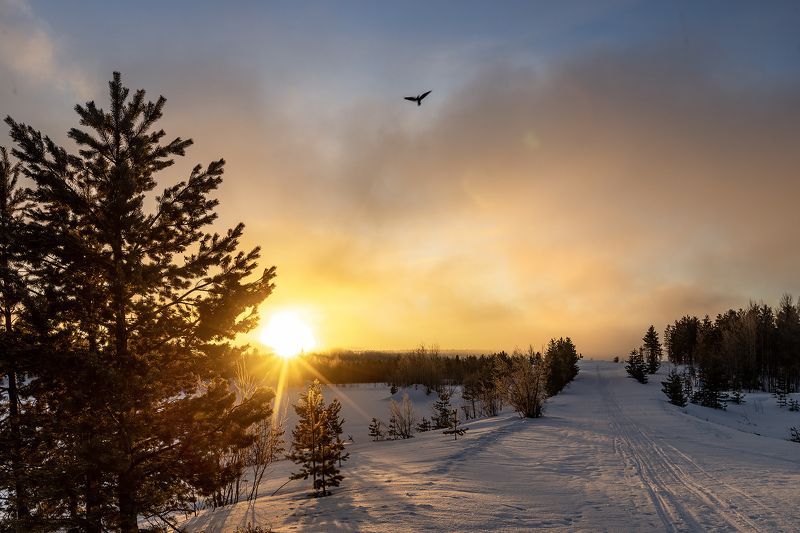 Утро Печоры фото превью