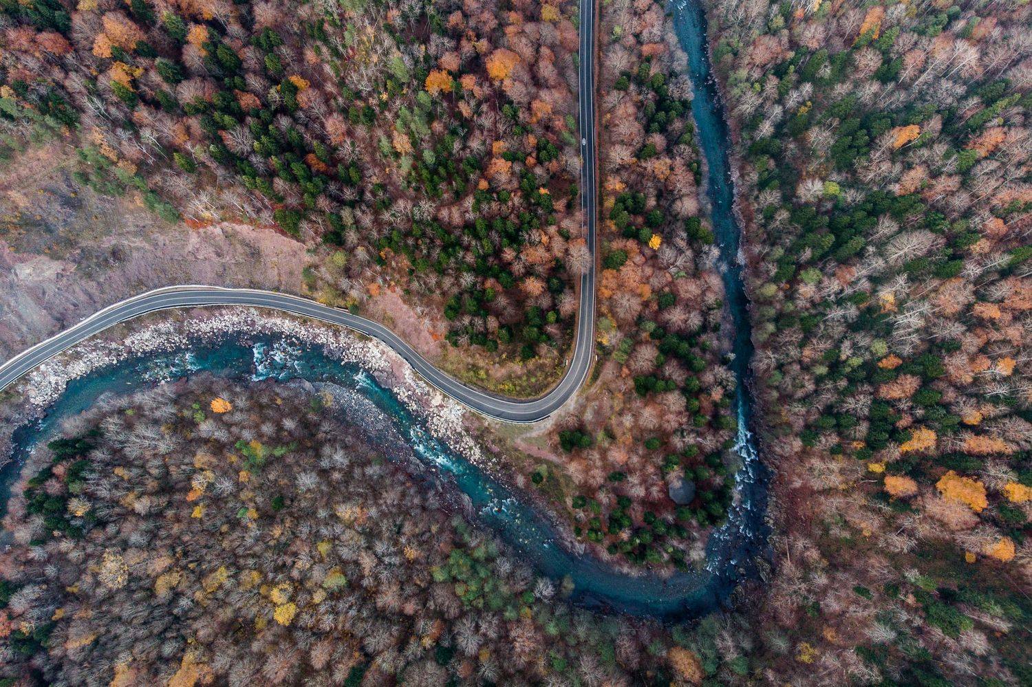 , Дмитрий Величко