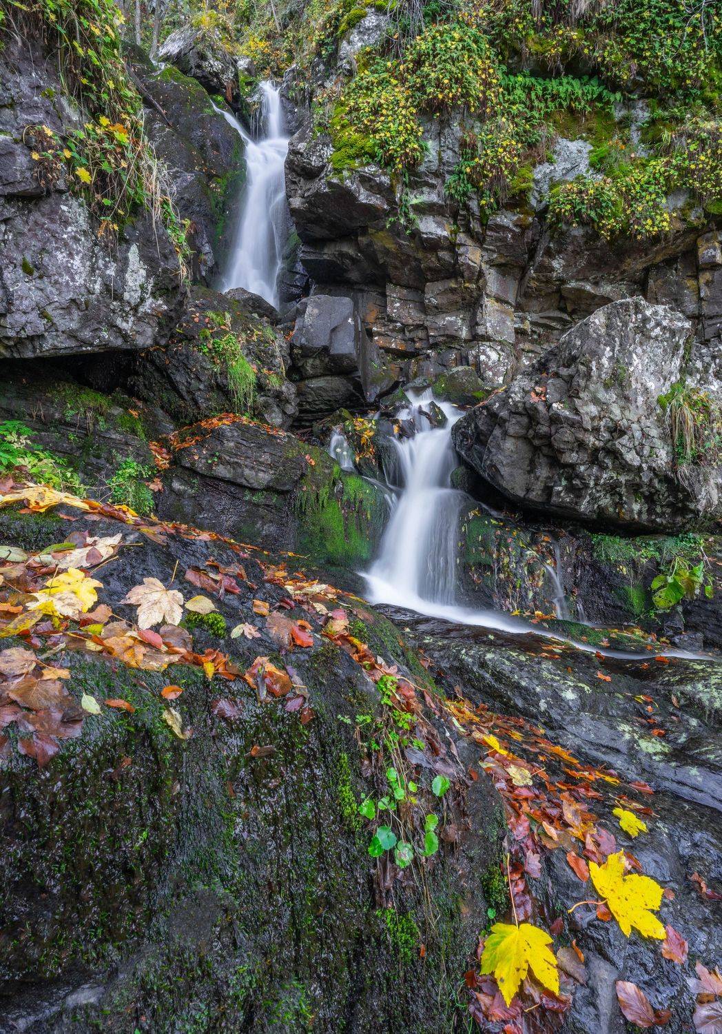 autumn landscapes nature waterfall vertical , viktor demidov