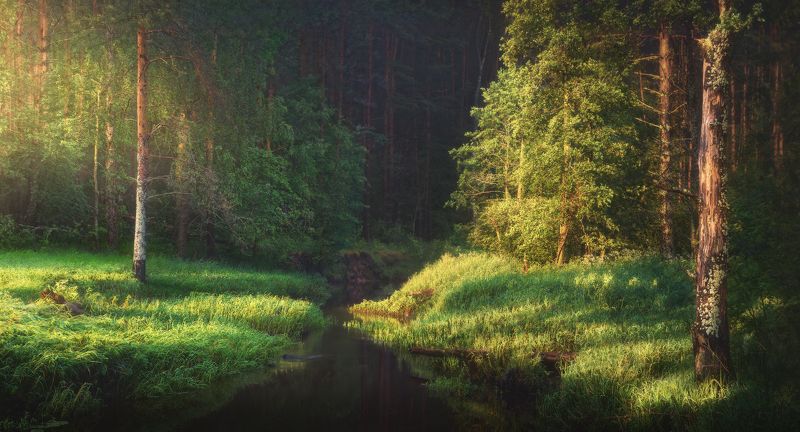 Утренний свет фото превью