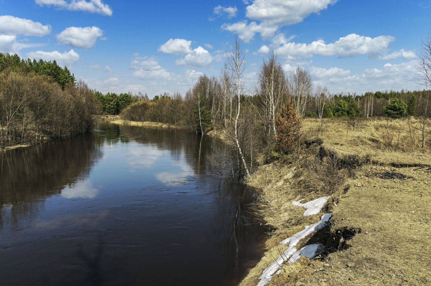 весна., Шитов Александр