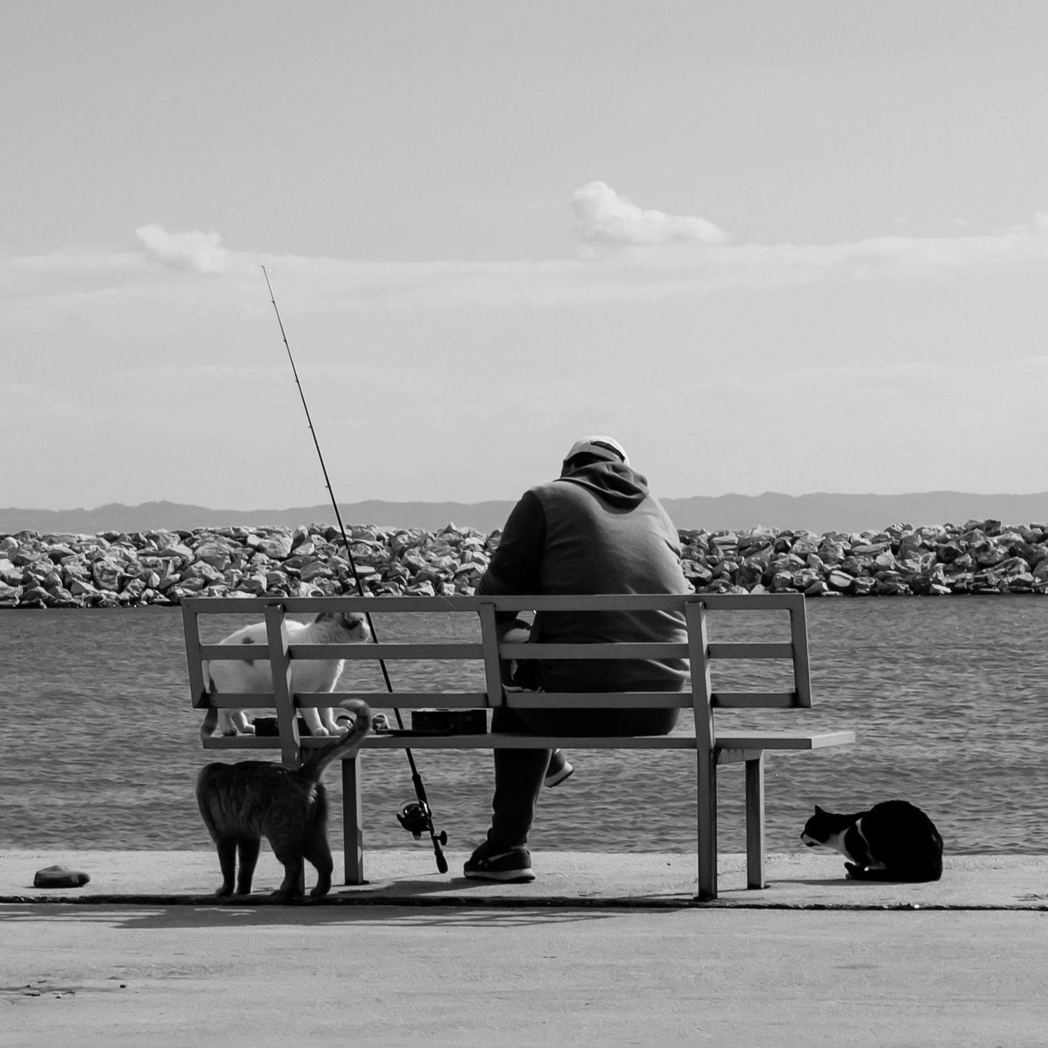 , Шилов Александр