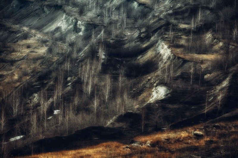 Ритмы осени фото превью
