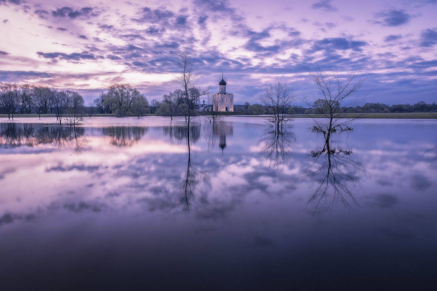 Владимирская область, Елена Гусева