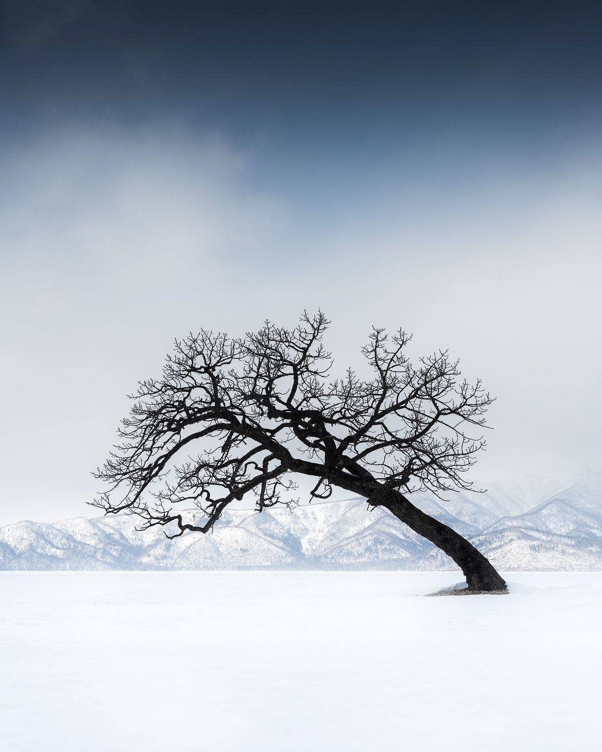 , Даниил Коржонов