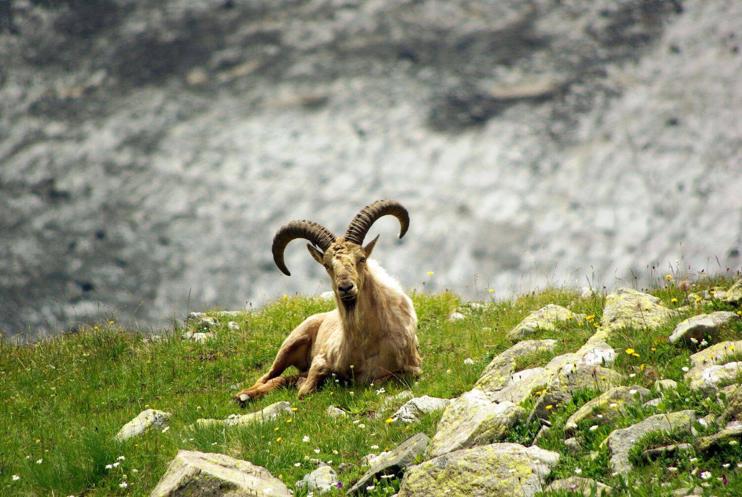 архыз, Андрей Любимов