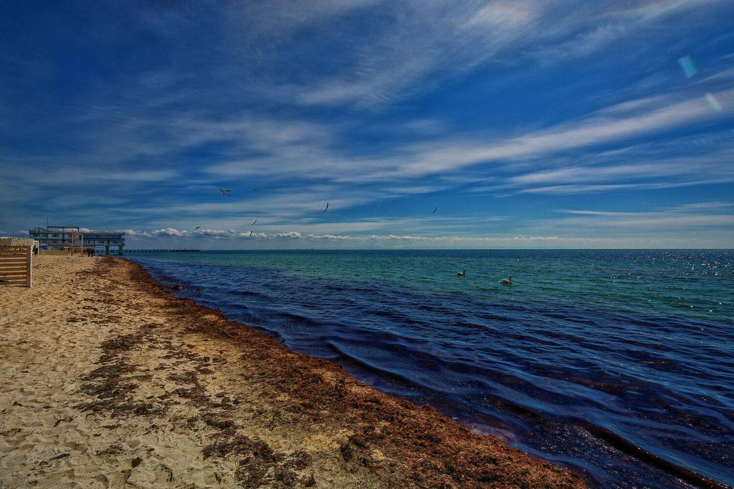 , Владимир Гамаюнов