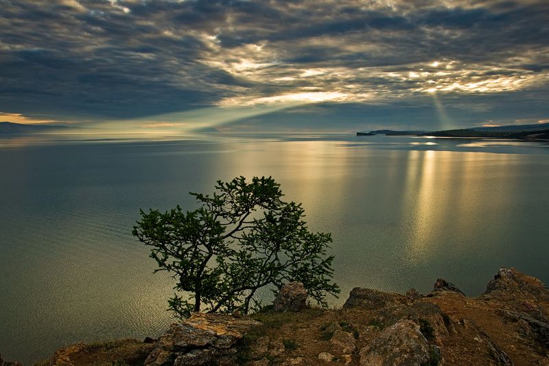 Прожекторы фото превью