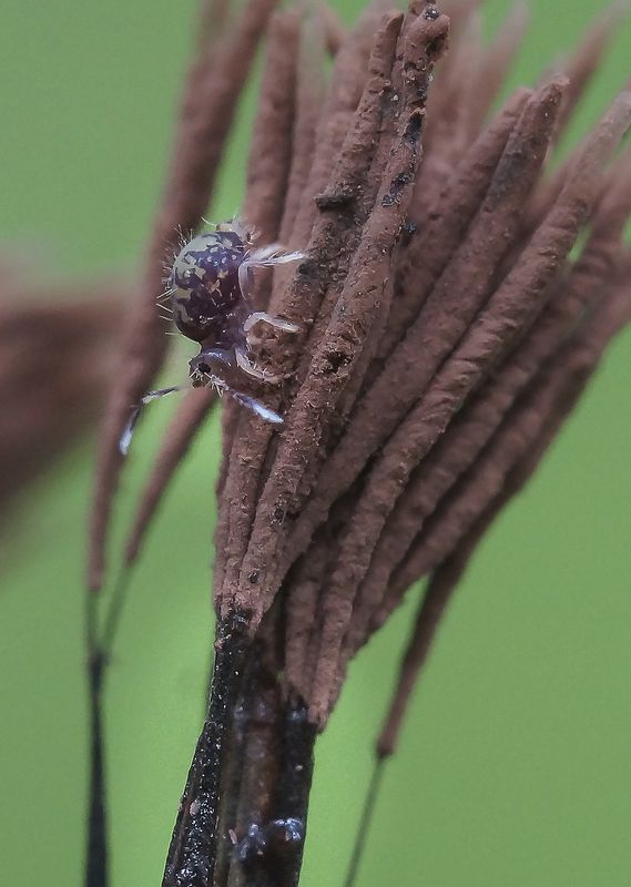 Заблудилась фото превью