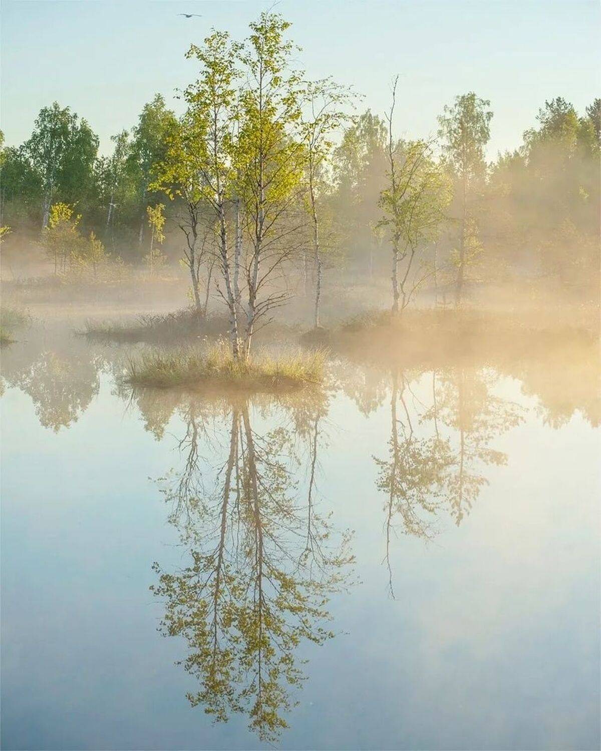 , Петр Косых