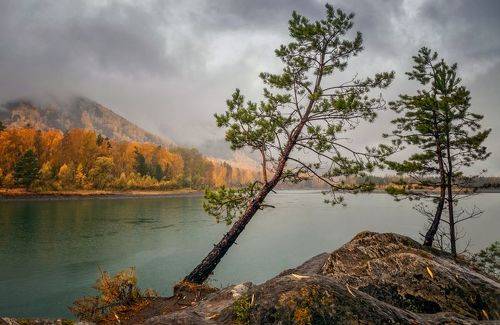 Двое и одна...