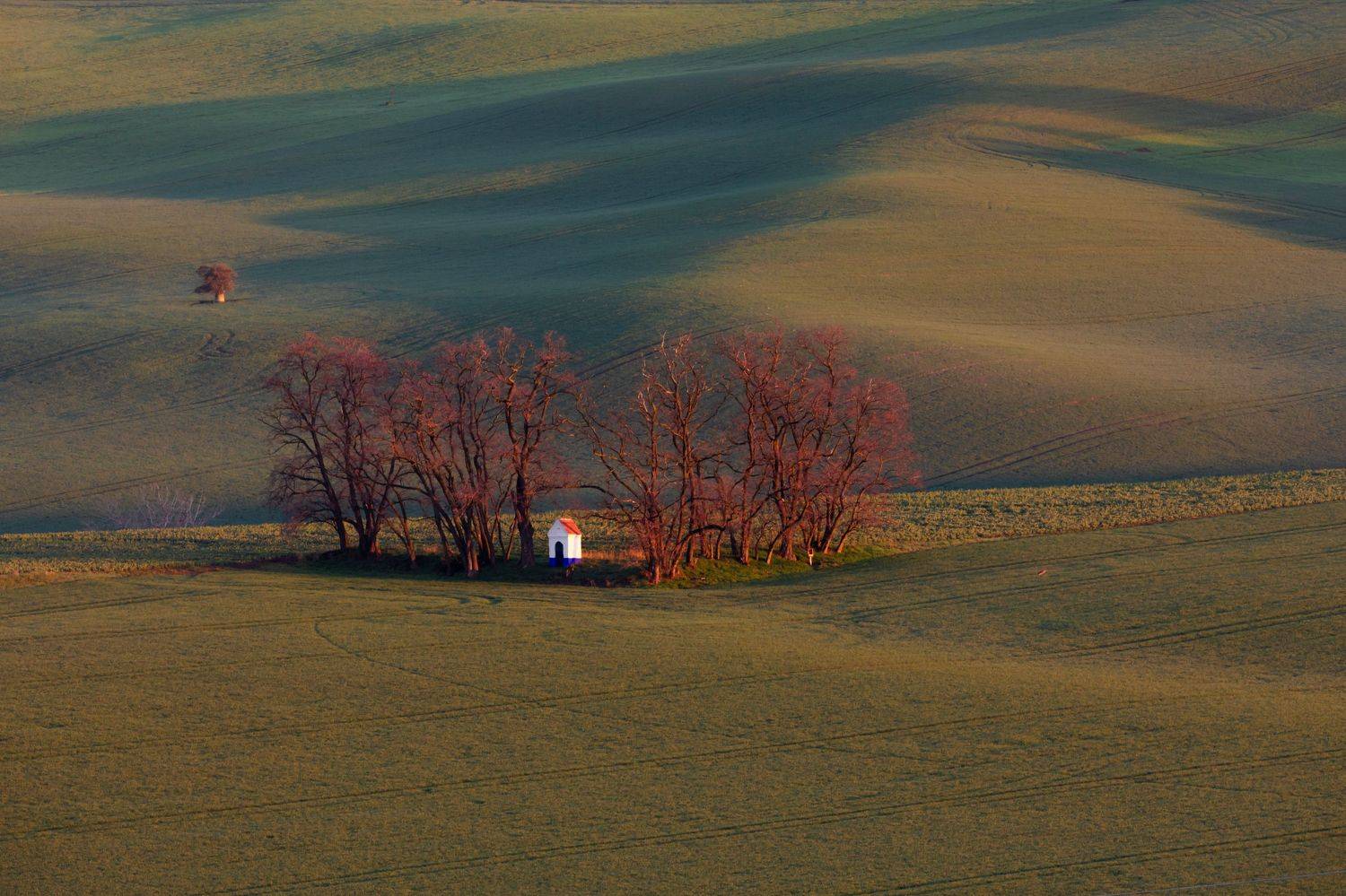, Евгения Чех