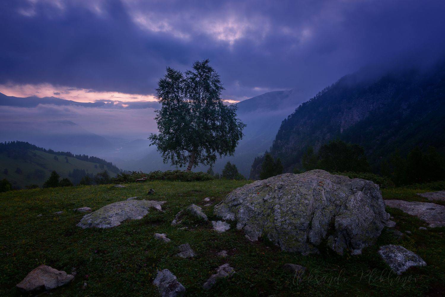 , Плеханов Александр