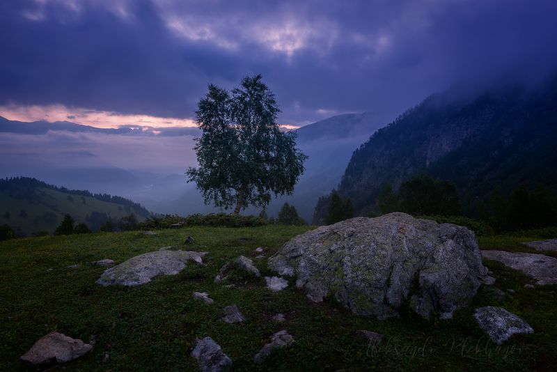 Встречая первый свет фото превью