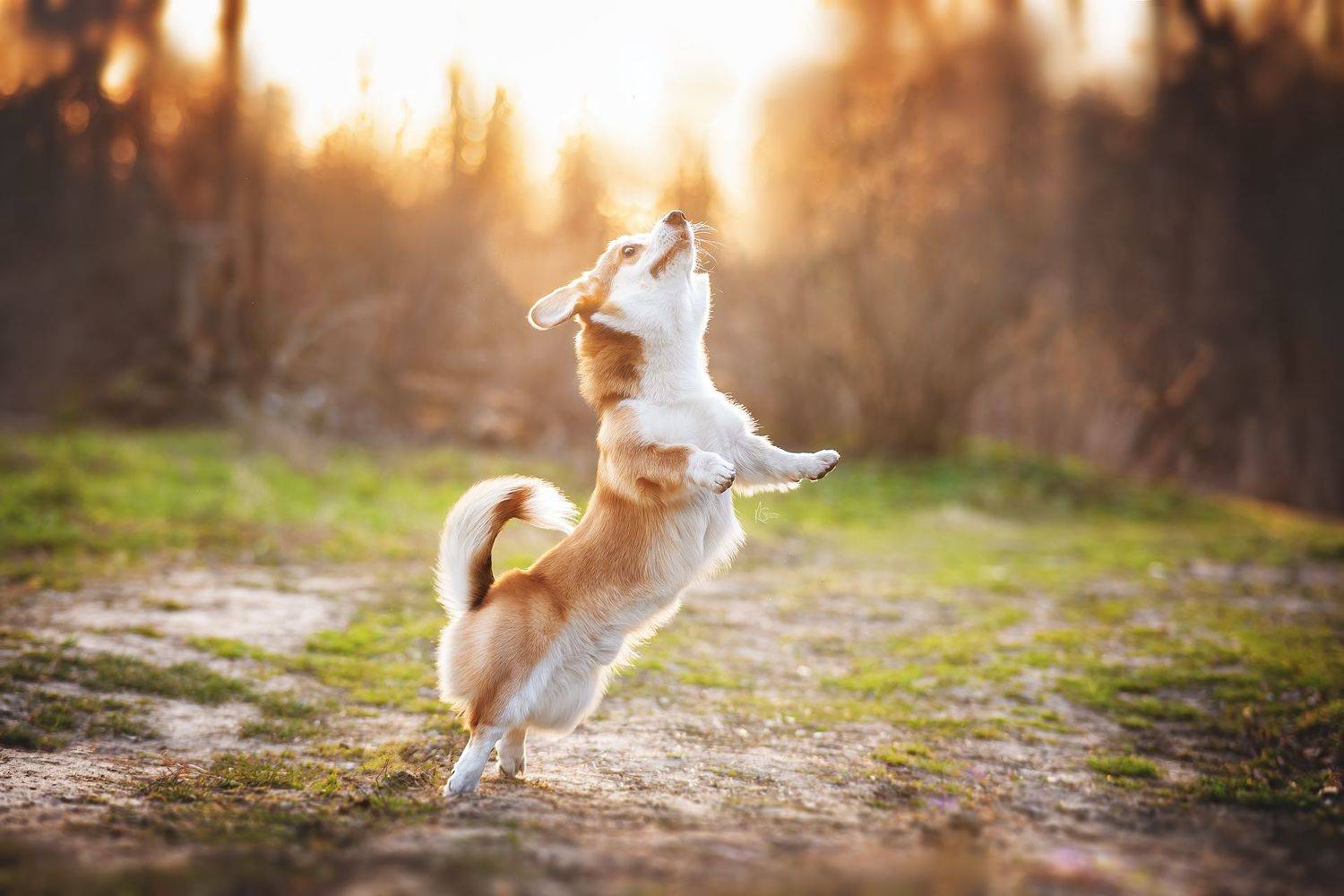 , Коптилина Галина