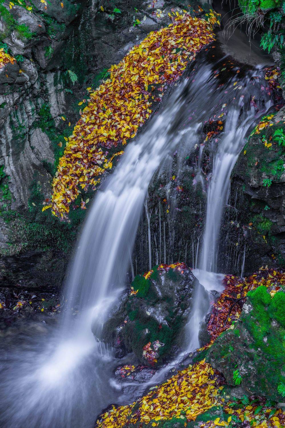 landscapes nature waterfal autumn, viktor demidov