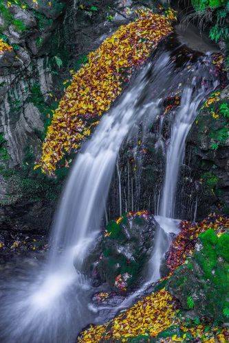 The colors of Autumn5