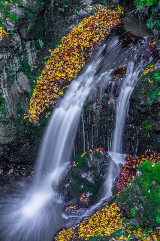 landscapes nature waterfal autumn The colors of Autumn5 фото превью