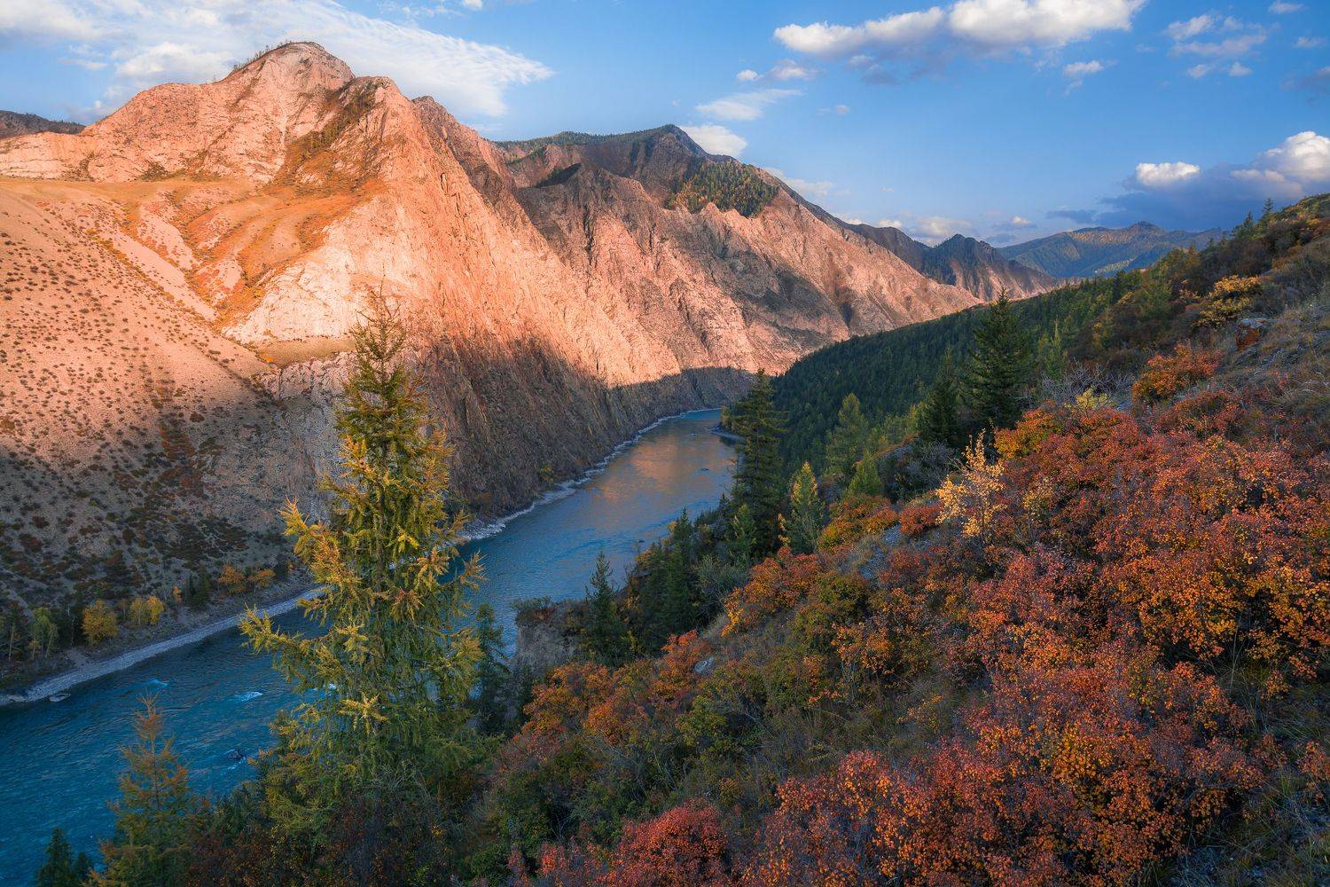 россия, горный алтай, река катунь, осень, вечер, Андрей Поляков