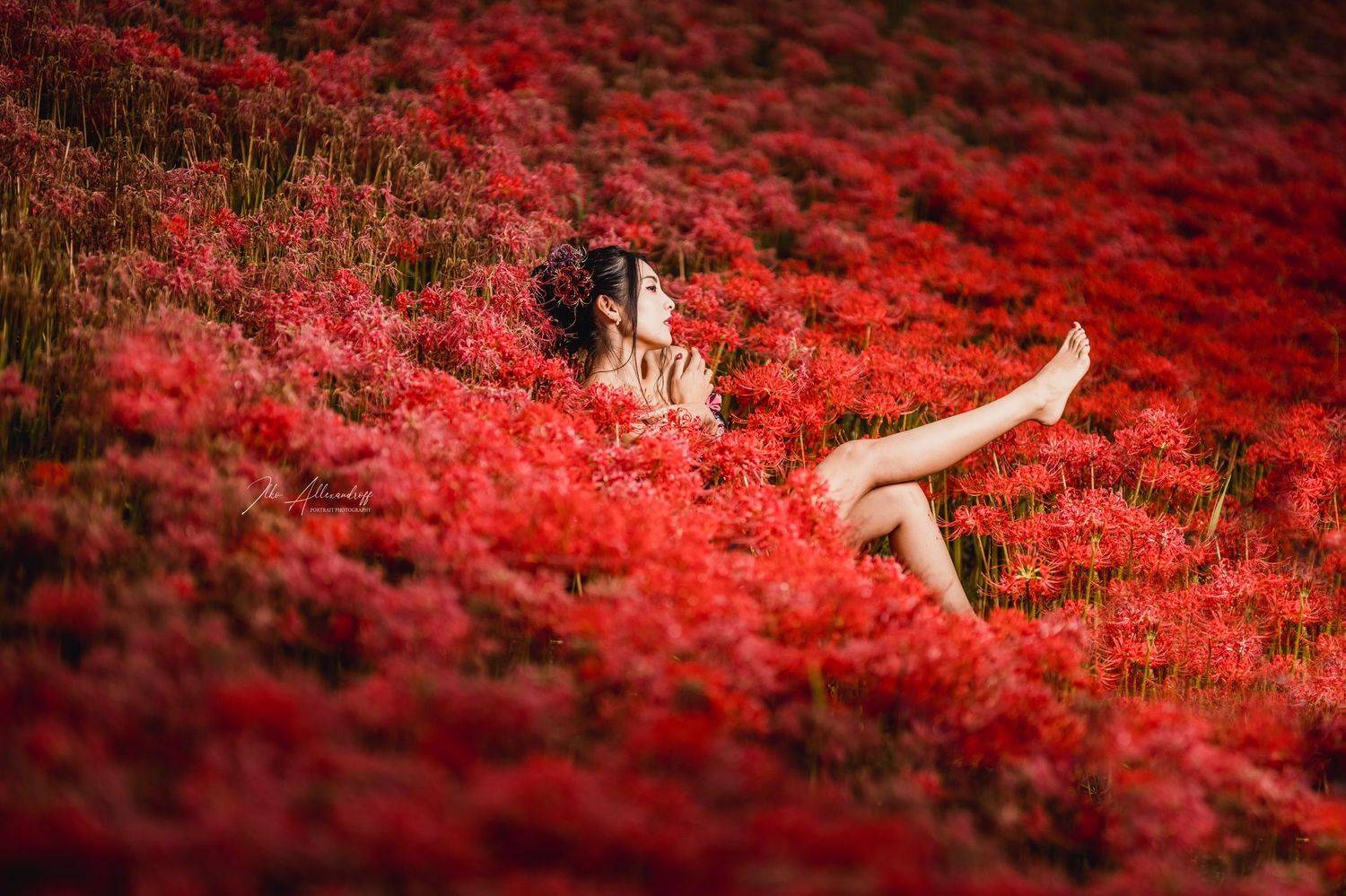 portrait,, Ilko Allexandroff