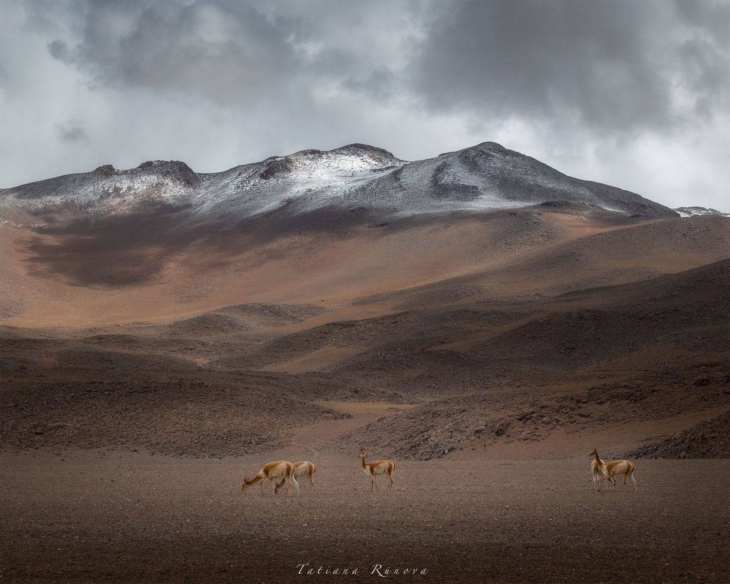 , Рунова Татьяна