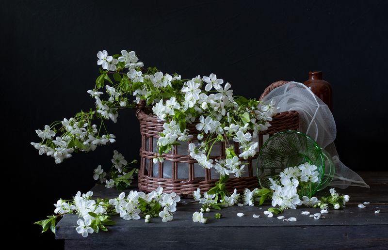 натюрморт, цветы, вишня Вишня цветет фото превью