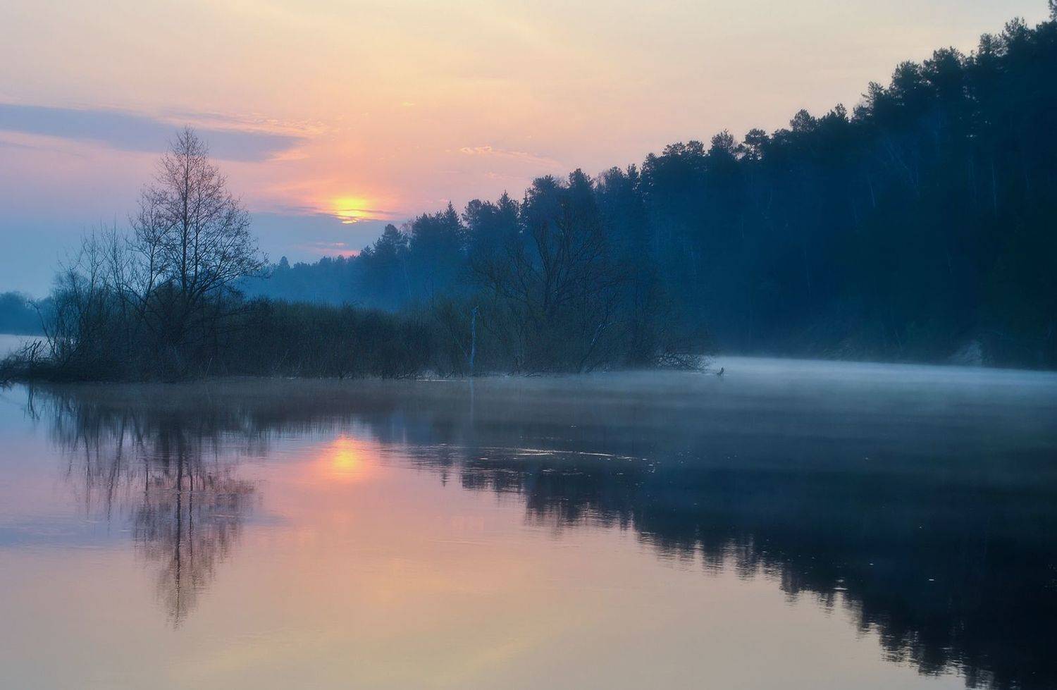 , Игорь Денисов