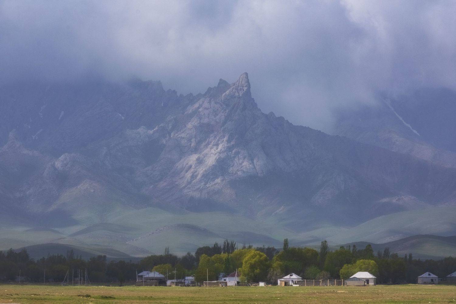 , Светлана Краюшкина