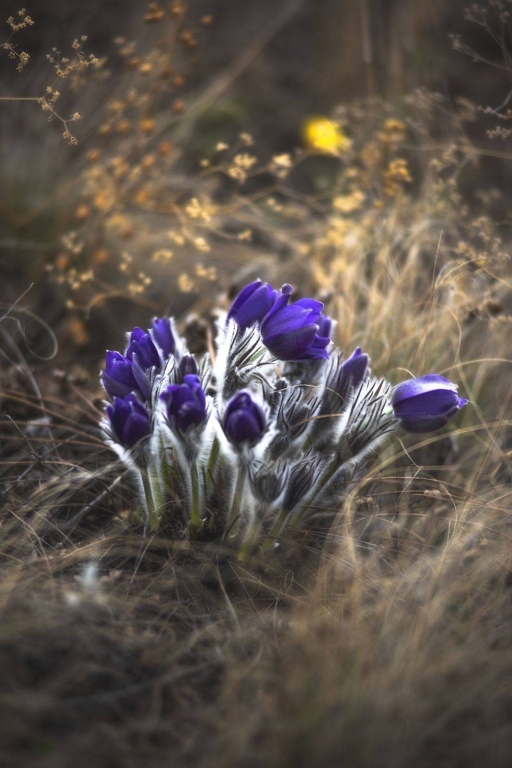 , Антонов Антон