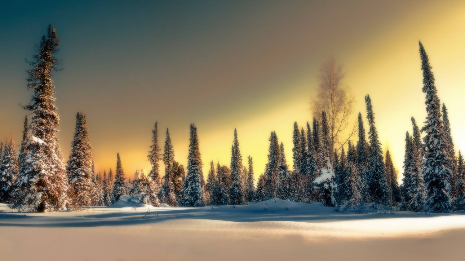 пейзаж, закат, лес, природа, Viktor Kholudeyev