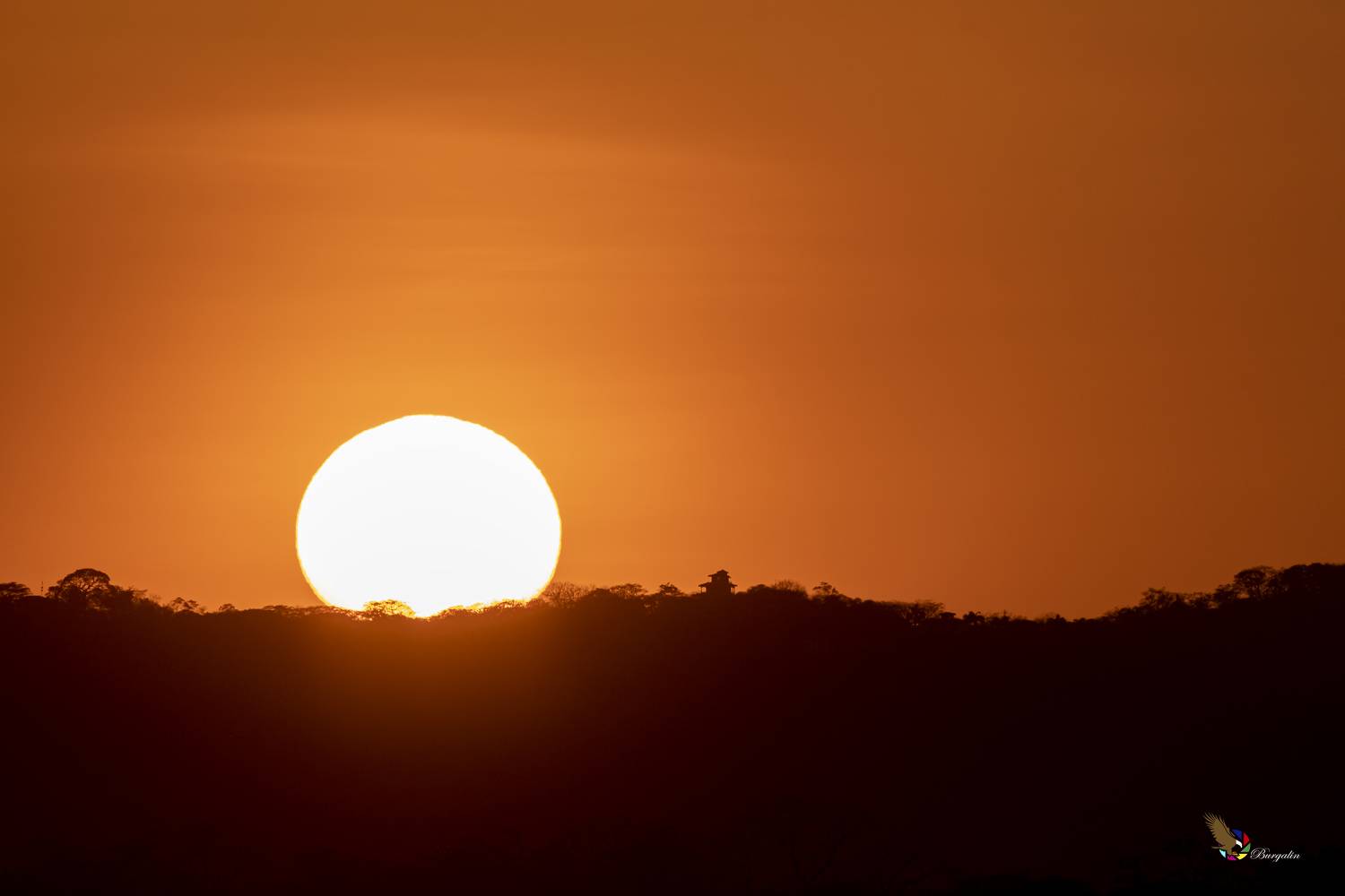 , Burgalin Sequeira Fernando