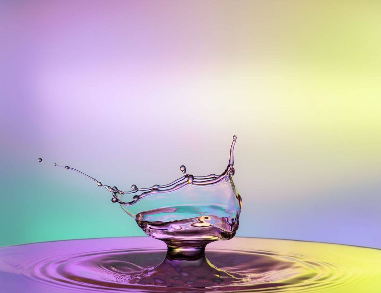 WATER,LIQUID,SPLASH PHOTOGRAPHY,ABSTRACT,TIME STOP,SPEED LIGTH,YOUSEF SAYADI,BLUE,YELLOW,MAGENTA,LIQUID ART,ABSTRACT ART,DROPS,MACRO,REFLECTIVE,HIGH SPEED PHOTOGRAPHY, YOUSEF SAYADI