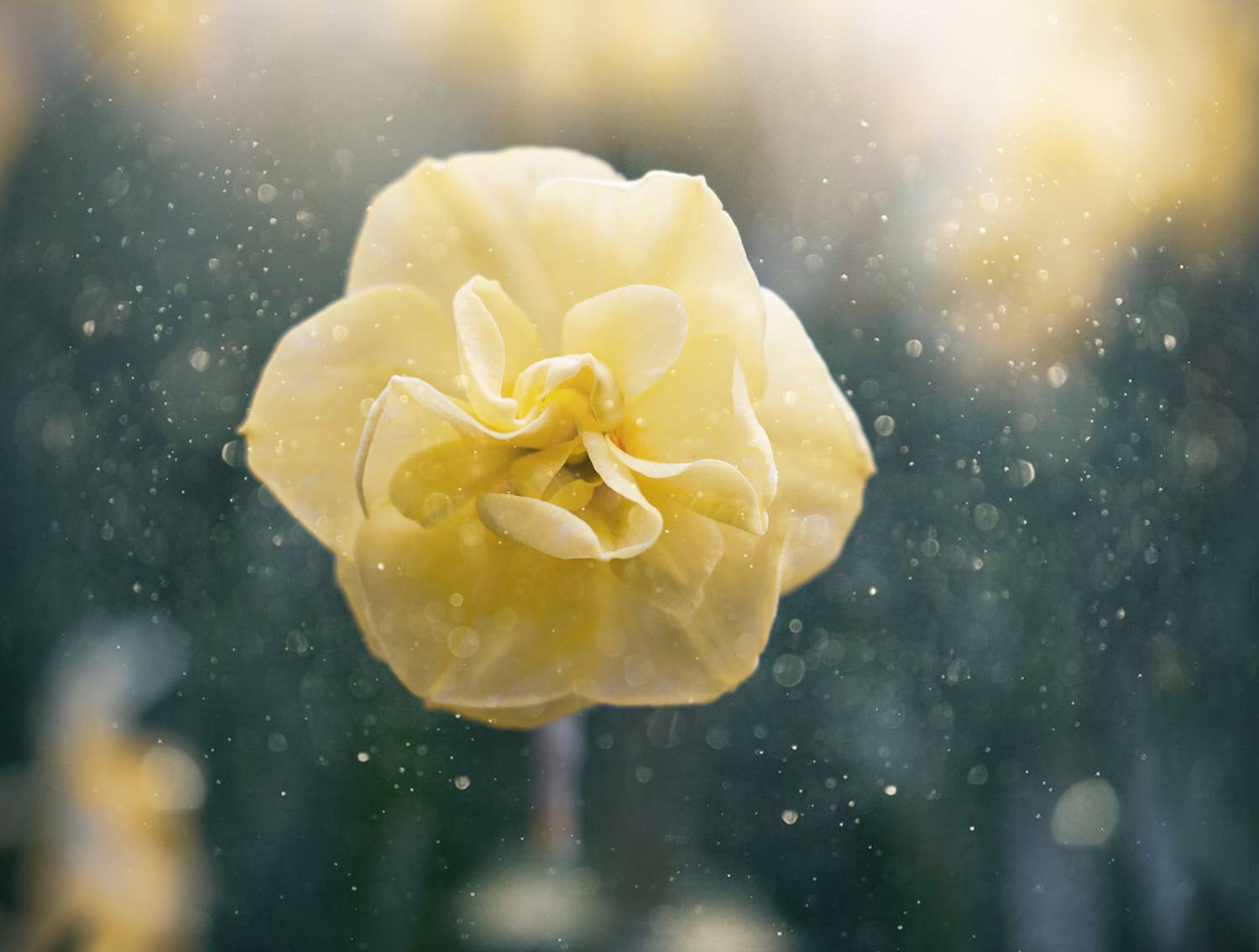 , Мария Обидина