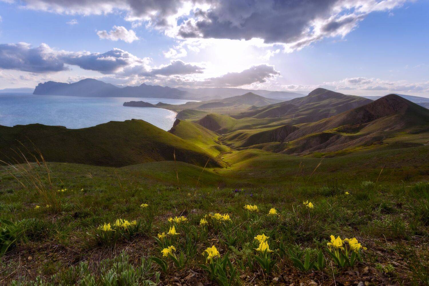 , Юлия Мальцева