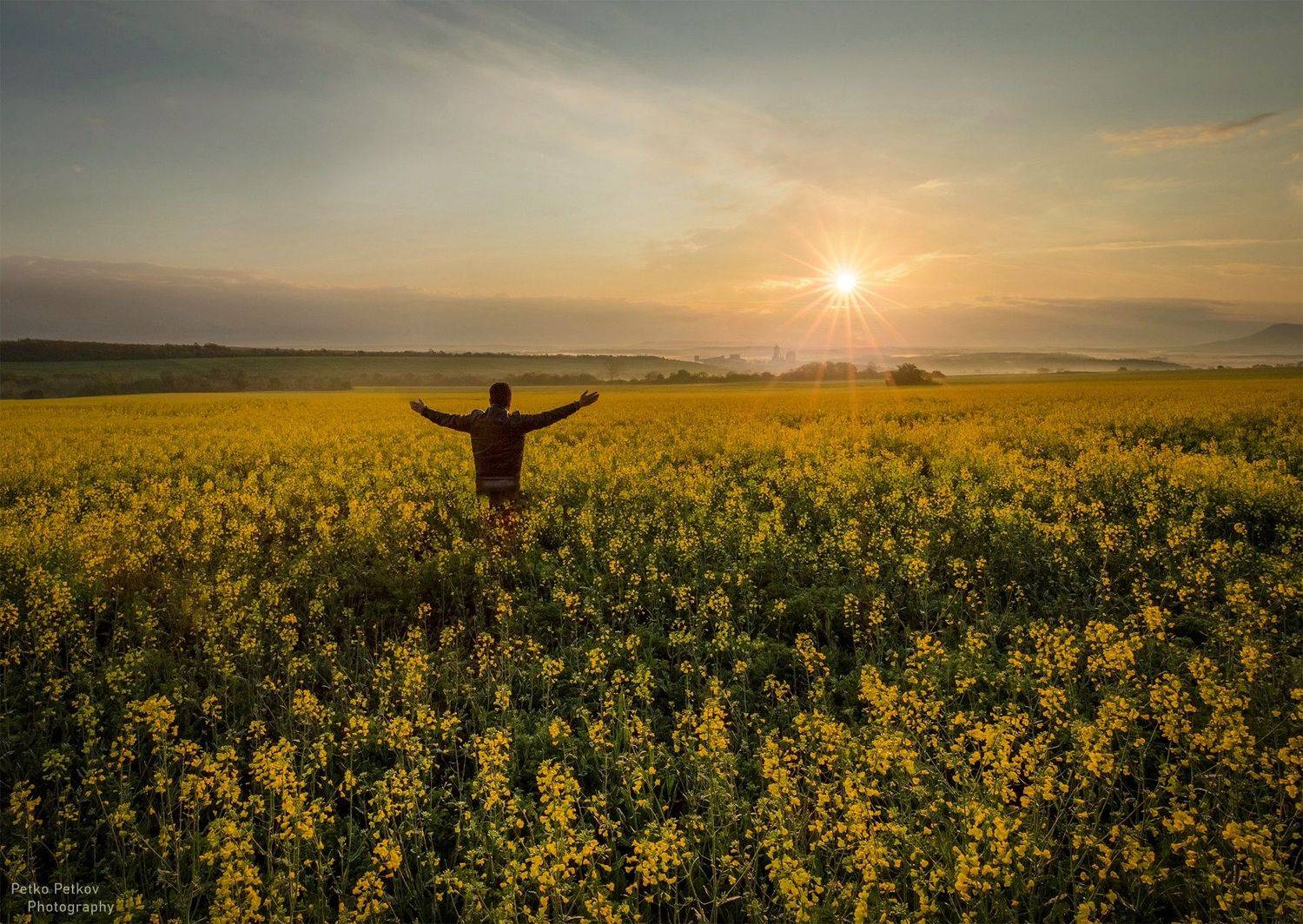 , Петко Петков