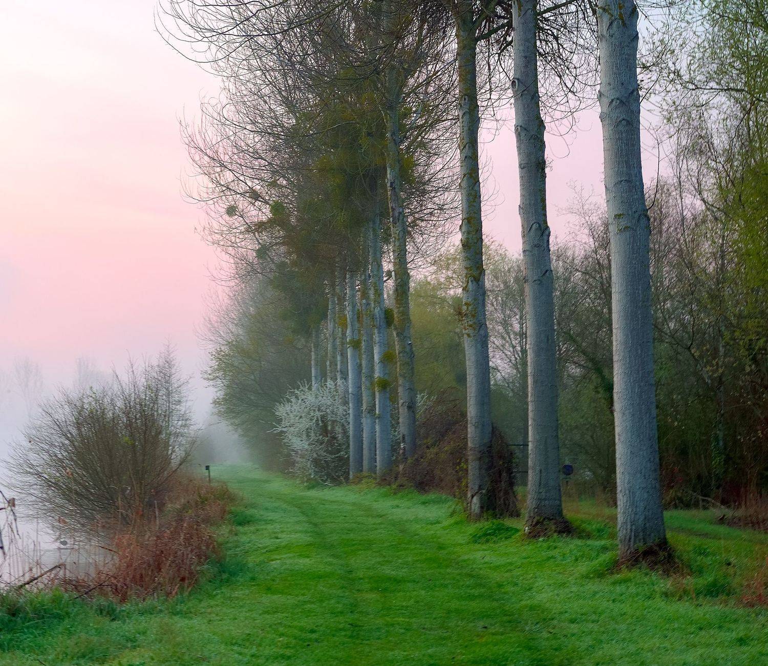 , Руслан Авдевич