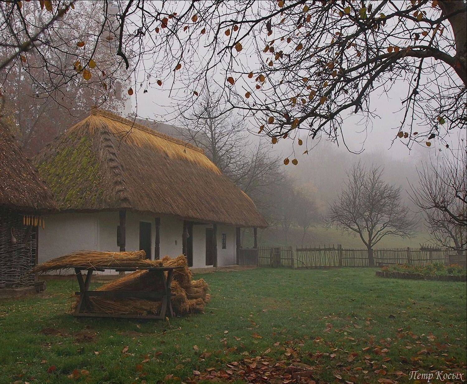 , Петр Косых